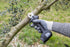 Ausonia 36468 Stikalo za škarje Work-it 30 (31815)
